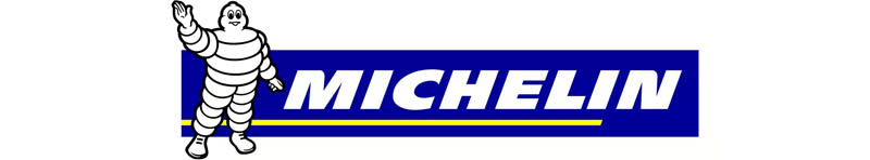 Michelin Pilot Sport EV